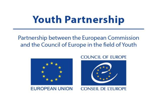 Compendium yp pol participation