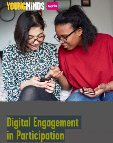 Digital Engagement in Participation